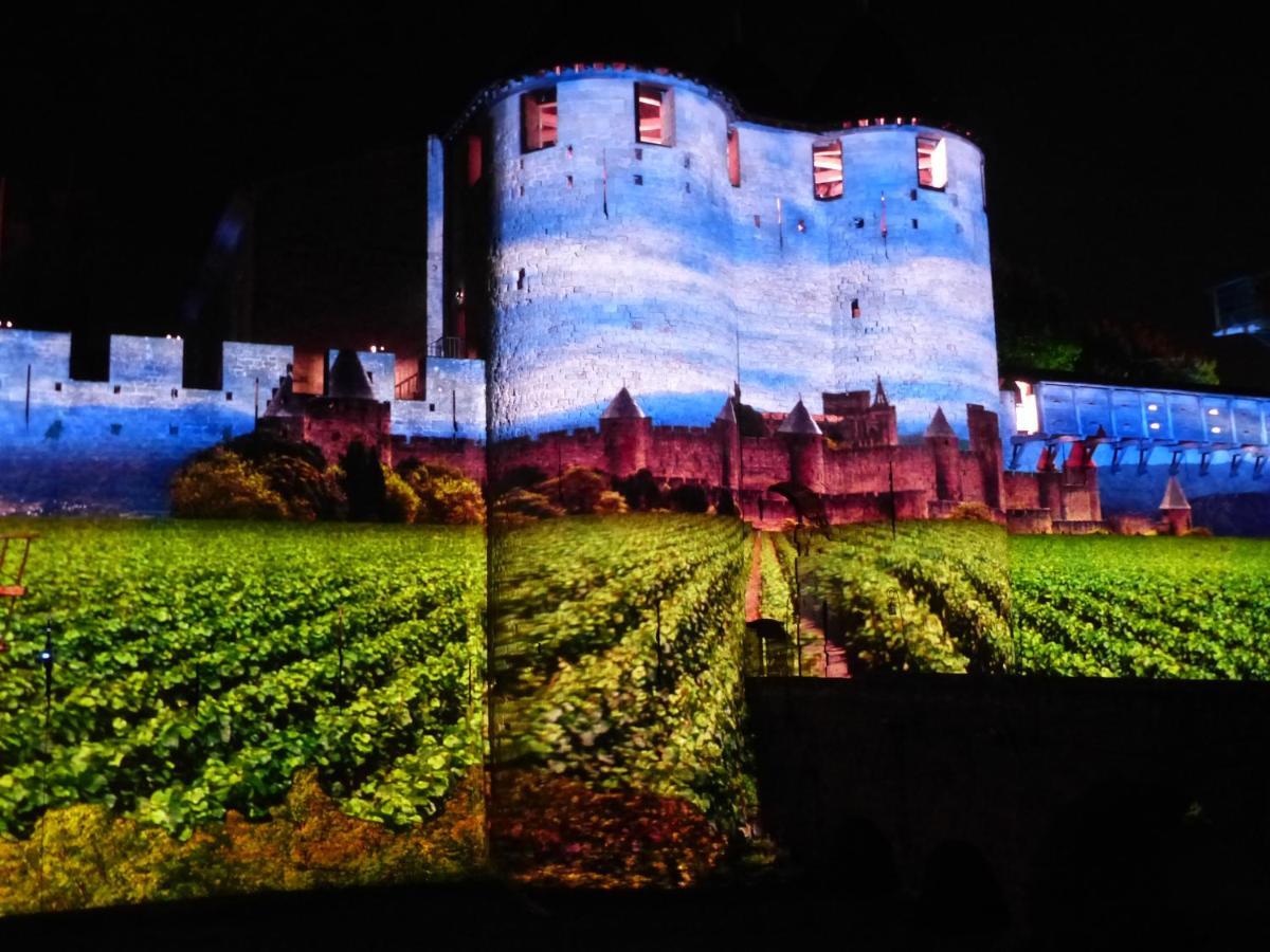 Maison Des Remparts Nichee Sous La Cite Carcassonne Zewnętrze zdjęcie